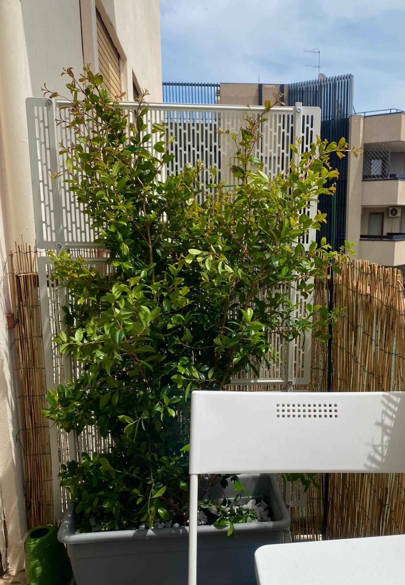 Via Roma A Un Passo Dalle Universita! Sassari Exterior foto